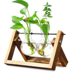 Wooden Stand Hanging Glass Vase Terrarium Hydroponics Container Pot Decor AU - Aimall