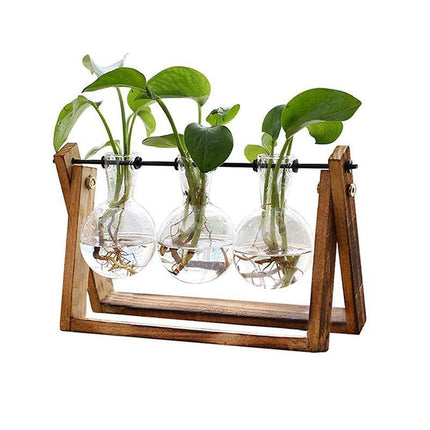 Wooden Stand Hanging Glass Vase Terrarium Hydroponics Container Pot Decor AU - Aimall