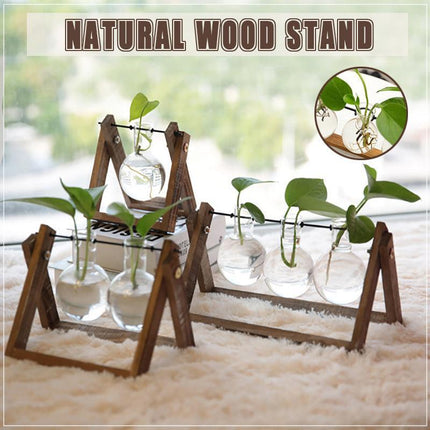 Wooden Stand Hanging Glass Vase Terrarium Hydroponics Container Pot Decor AU - Aimall