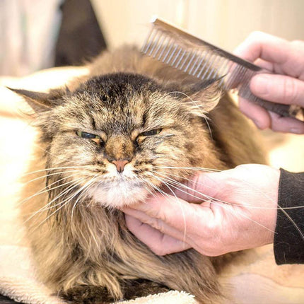 Stainless Steel Teeth Metal Comb Brush Pet Cat Dog Hair Grooming Trimmer Round - Aimall