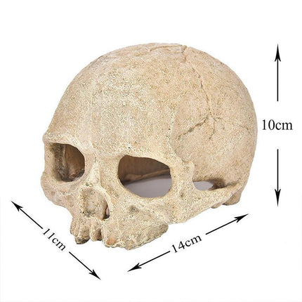 Artificial Fake Skull Head Bone Aquarium Ornament Fish Tank Decoration - Aimall