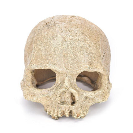 Artificial Fake Skull Head Bone Aquarium Ornament Fish Tank Decoration - Aimall