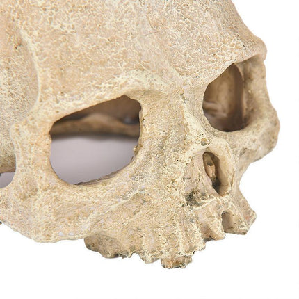 Artificial Fake Skull Head Bone Aquarium Ornament Fish Tank Decoration - Aimall