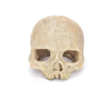Artificial Fake Skull Head Bone Aquarium Ornament Fish Tank Decoration - Aimall