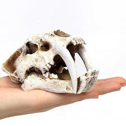 Reptile Fish Tank Saber Tooth Tiger Skull Hide Ornament Aquarium Decoration - Aimall