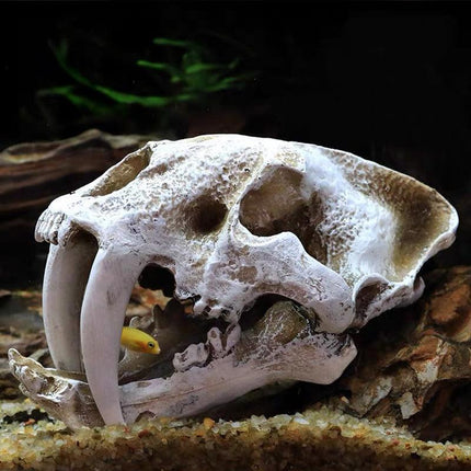 Reptile Fish Tank Saber Tooth Tiger Skull Hide Ornament Aquarium Decoration - Aimall