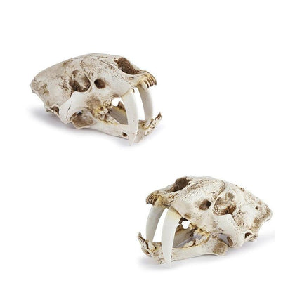 Reptile Fish Tank Saber Tooth Tiger Skull Hide Ornament Aquarium Decoration - Aimall