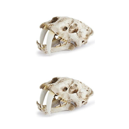Reptile Fish Tank Saber Tooth Tiger Skull Hide Ornament Aquarium Decoration - Aimall