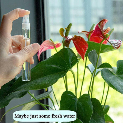 10Pcs 3/5/10ml Glass Perfume Bottle Atomizer Pump Spray Comestic Container AU - Aimall