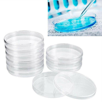 Petri Dish set ready for laboratory use.