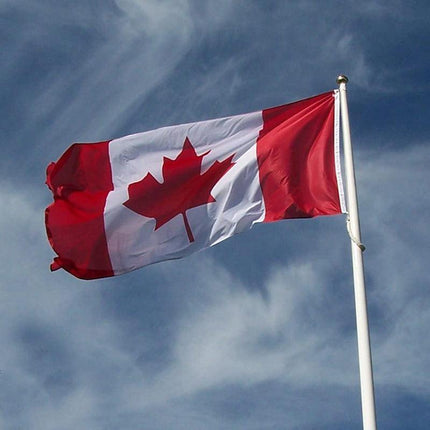 Large Canadian Canada Flag CAN Heavy Duty Outdoor 90 X 150 CM - 3ft x 5ft AU - Aimall
