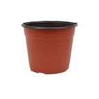 BN170-16.8*14CM-20PCS
