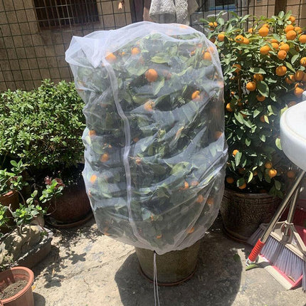 Fruit Fly Net Insect mesh Vegetable Garden Plant Crop Protection Cover Bags AU - Aimall