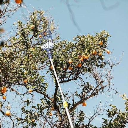 Horticultural Convenient Labor saving Fruit Picker Tool Apple Picking Garden - Aimall