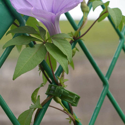 50-200x Tomato Greenhouse Ties Veggie Plant Support Clips Garden trellis Stake - Aimall