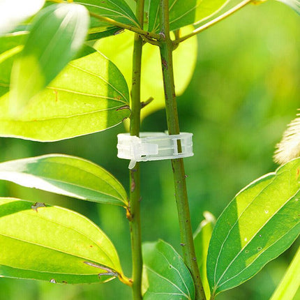 50-200x Tomato Greenhouse Ties Veggie Plant Support Clips Garden trellis Stake - Aimall