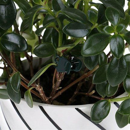 100PCS Plastic Orchid Plant Garden Clips Vegetable Support Flower Holding Stake - Aimall