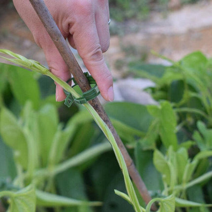 50-200x Tomato Greenhouse Ties Veggie Plant Support Clips Garden trellis Stake - Aimall