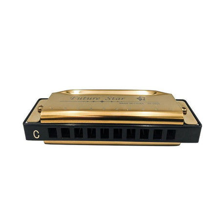Harmonica 10 Holes Key of C Blue Blues Harp Stainless Steel Brass Harmonica AU - Aimall