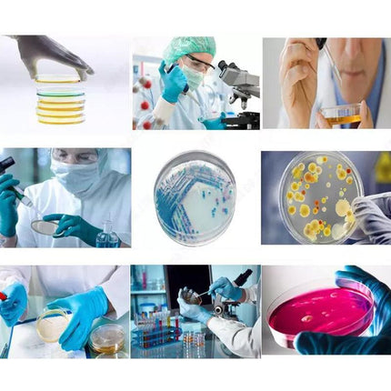 Petri Dish set ready for laboratory use.