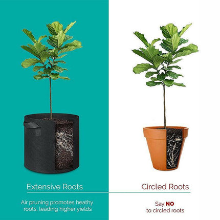 10 PACK Fabric Plant Grow Pots Breathable Planter Bags 2/3/5/7/10/20 Gallon AU - Aimall
