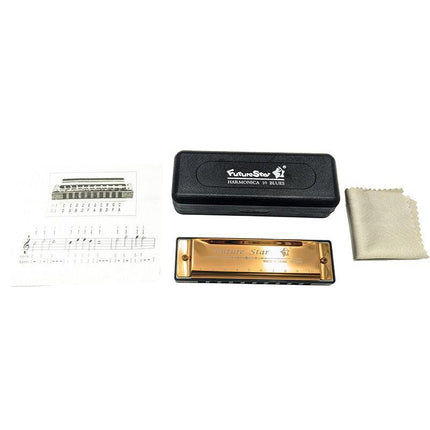 Harmonica 10 Holes Key of C Blue Blues Harp Stainless Steel Brass Harmonica AU - Aimall