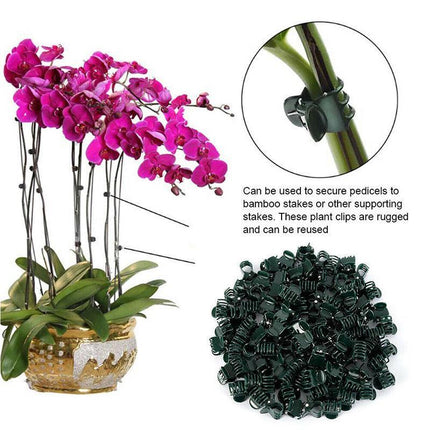 100PCS Plastic Orchid Plant Garden Clips Vegetable Support Flower Holding Stake - Aimall