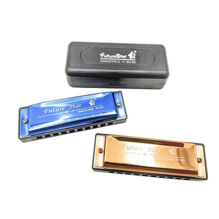 Harmonica 10 Holes Key of C Blue Blues Harp Stainless Steel Brass Harmonica AU - Aimall