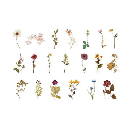 Scrapbooking Flower Stickers PET Transparent Sticker - Aimall