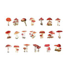 Scrapbooking Flower Stickers PET Transparent Sticker - Aimall
