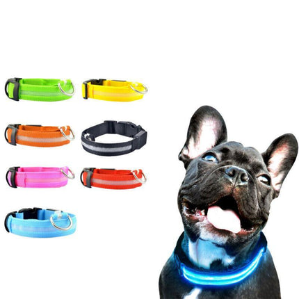 USB Rechargeable LED Dog Collar Nylon Glow Flashing Light Up Pet Safety Collars - Aimall