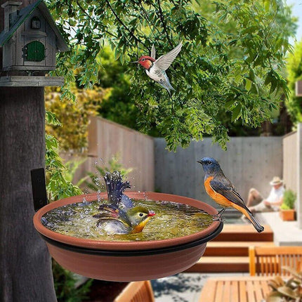 Hanging Bird Feeder in a Garden Setting