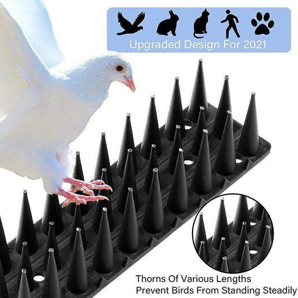 12X Bird Spikes Human Cat Possum Mouse Pest Control Spiked Fence Wall Deterrent - Aimall