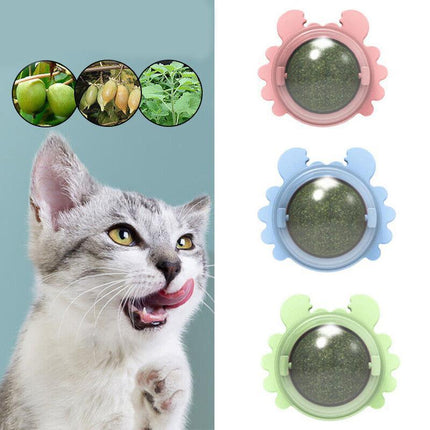 Interactive Catnip Mint Ball Toy for Kittens