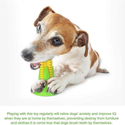 Dog Squeaky Chew Toys Teeth Clean Stick Corn Pet Dental Toothbrush Molar Stock - Aimall