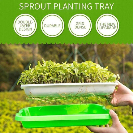 Microgreens tray, Seeding Cloning Hydroponic Germination Bean Sprout Planting AU - Aimall