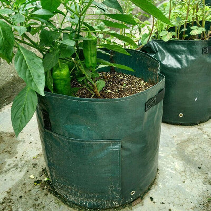 1PC/2PCS 10 Gallon Garden Plant Grow Bags Potato Planter Bag Planting Container - Aimall
