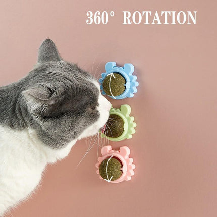 Interactive Catnip Mint Ball Toy for Kittens