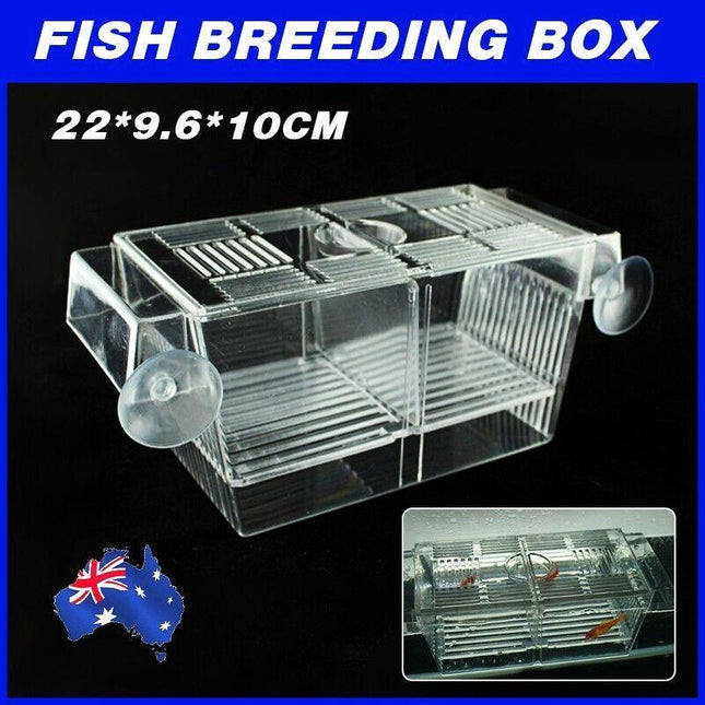 Large Breeding Aquarium Fish Tank Guppy Hatchery Breeder Rearing Isolation Box - Aimall