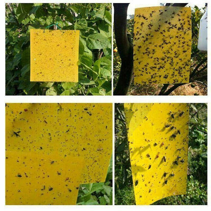 Up 60 pc Yellow Sticky paper Insect Trap Catcher Killer Fly Aphids Wasp AU - Aimall