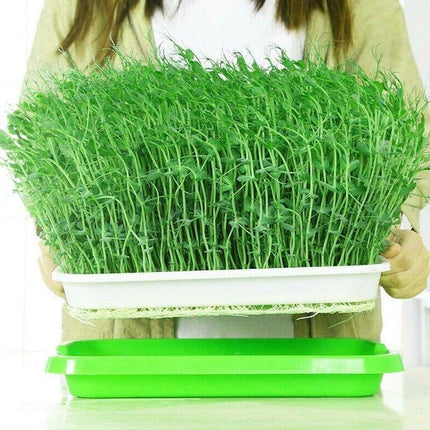 Microgreens tray, Seeding Cloning Hydroponic Germination Bean Sprout Planting AU - Aimall