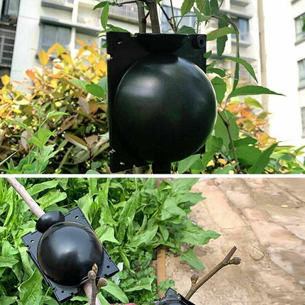 10Pcs Plant Rooting High Pressure Propagation Ball Root Grow Grafting Box AU - Aimall