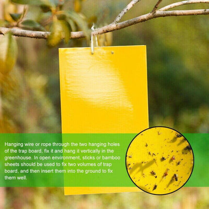Up 60 pc Yellow Sticky paper Insect Trap Catcher Killer Fly Aphids Wasp AU - Aimall