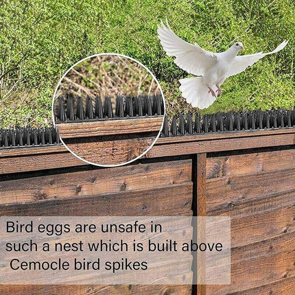 12X Bird Spikes Human Cat Possum Mouse Pest Control Spiked Fence Wall Deterrent - Aimall