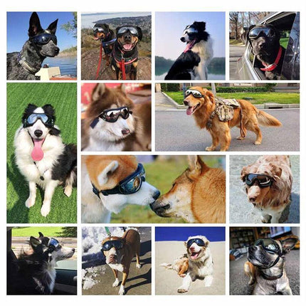 Fashion Pet Dog Doggles Goggles UV Sunglasses Sun Glasses Eye Wear Protection - Aimall