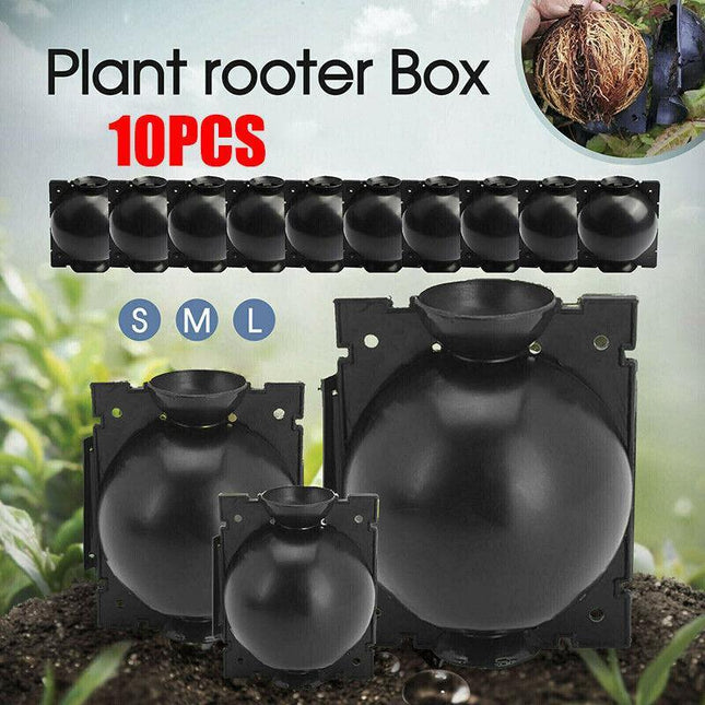 10Pcs Plant Rooting High Pressure Propagation Ball Root Grow Grafting Box AU - Aimall