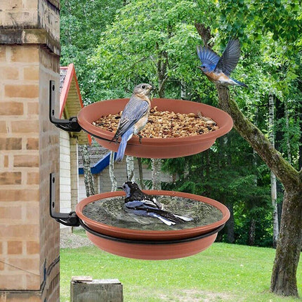 Hanging Bird Feeder in a Garden Setting