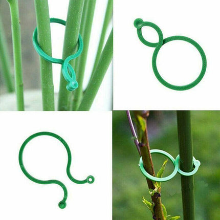 100pcs Garden Plant Clip Reusable Fruits Tomato Vine Grow Support Holder Straps - Aimall