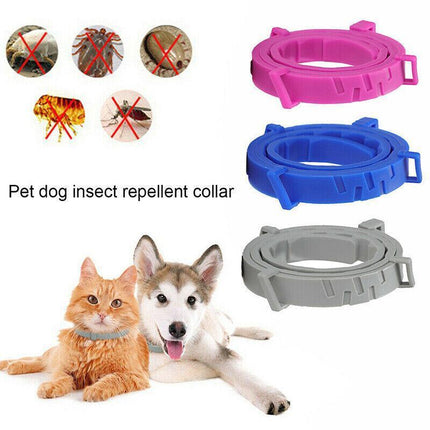 Adjustable Pet Anti Flea Tick Neck Collar for Dog Cat Kitten 8 Months Protect*AU - Aimall