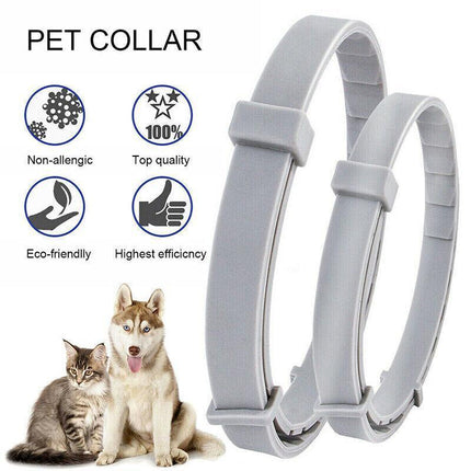 Adjustable Pet Anti Flea Tick Neck Collar for Dog Cat Kitten 8 Months Protect*AU - Aimall